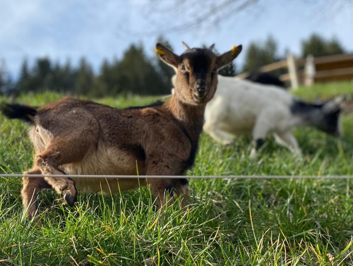 Blumbauernhof Villa Gutach Eksteriør bilde